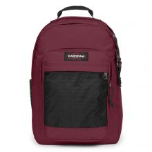 Eastpak Study Buddy Rugzak Maroon Burgundy